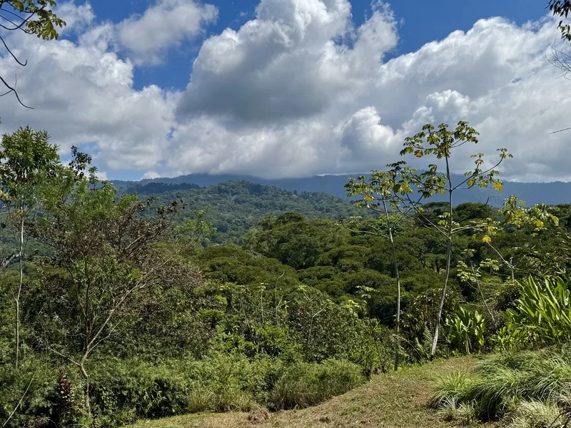 Land For Sale in Dominical, photo 6