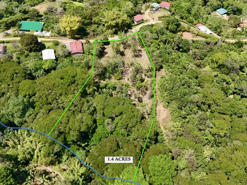Land For Sale in Dominical, photo 7