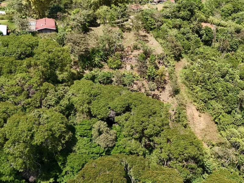 Land For Sale in Dominical, photo 8
