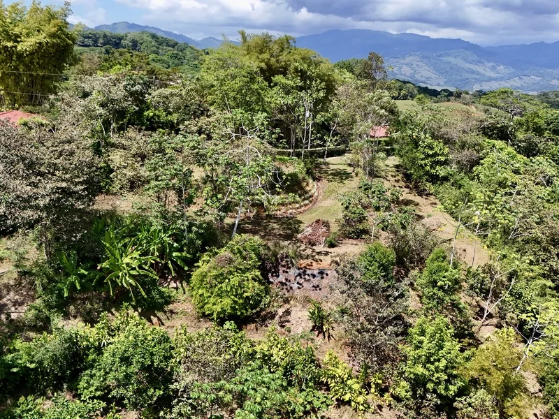 Land For Sale in Dominical, photo 10