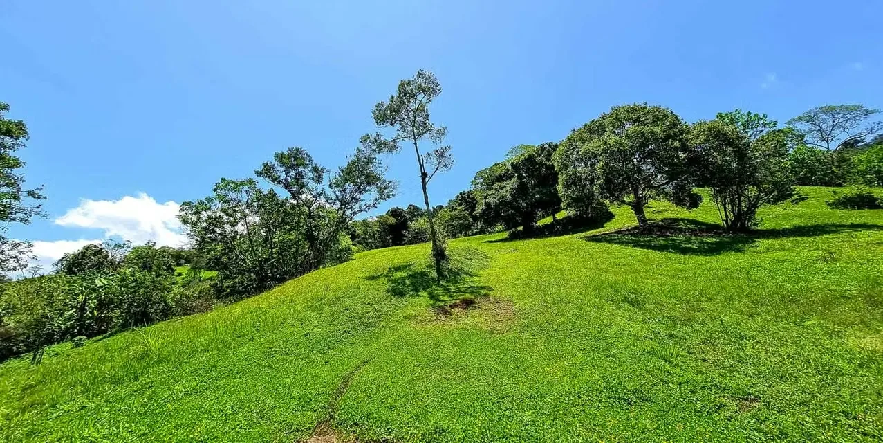 Lots in Escazu San Antonio - Mountain View - Gated Access Privacy, photo 3
