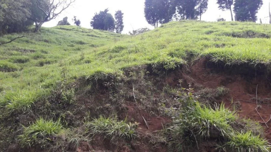 Venta de Lote en Naranjo, Alajuela. - Venta en Naranjo