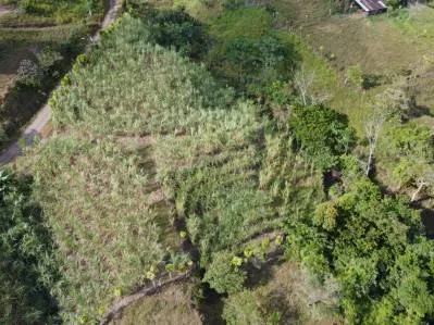 Terreno Privado en San Blas: Oportunidad Única, photo 4