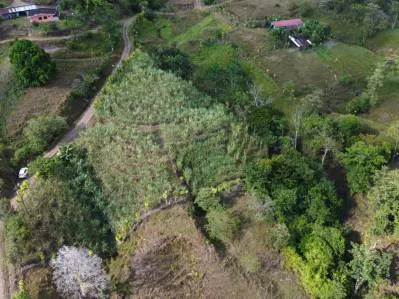 Terreno Privado en San Blas: Oportunidad Única, photo 6