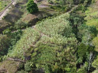 Terreno Privado en San Blas: Oportunidad Única, photo 7