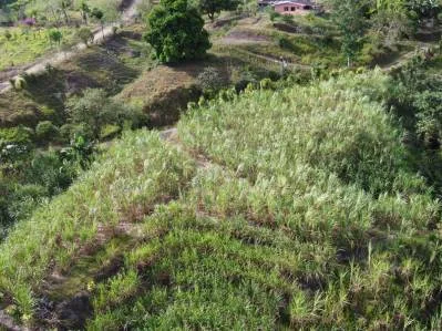 Terreno Privado en San Blas: Oportunidad Única, photo 8