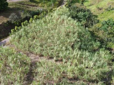 Terreno Privado en San Blas: Oportunidad Única, photo 9