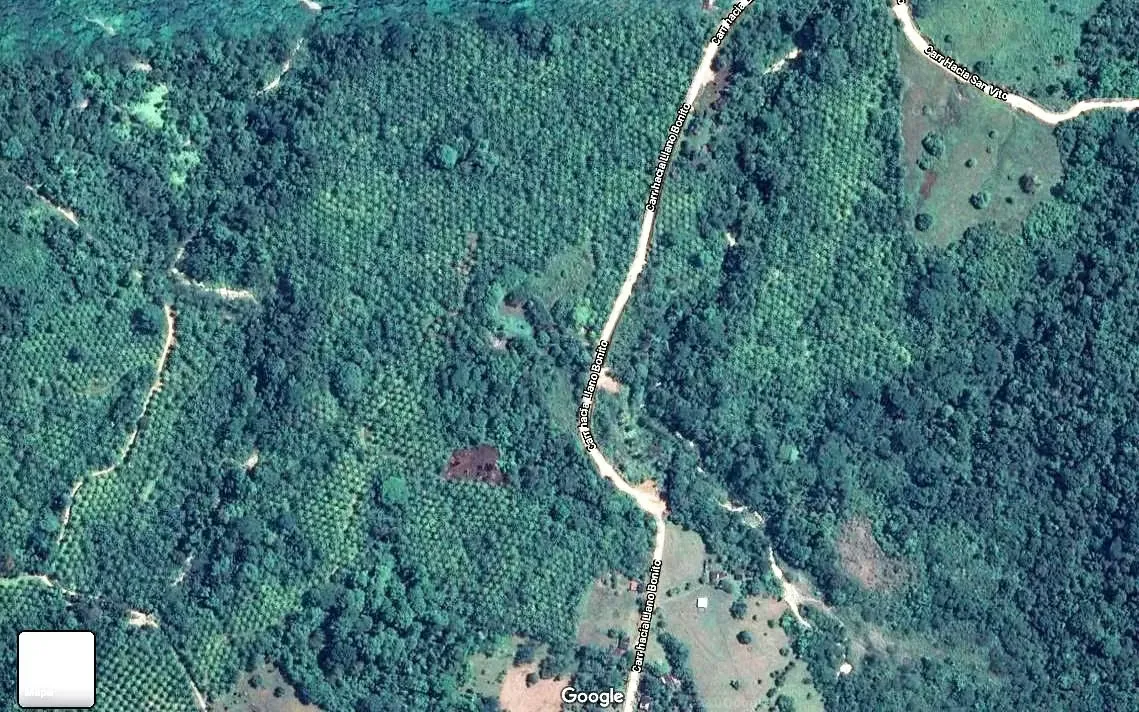 FARM FOR SALE IN LLANO BONITO, RÍO CLARO – 165 HECTARES OF NATURE AND AFRICAN PALM PRODUCTION, photo 2