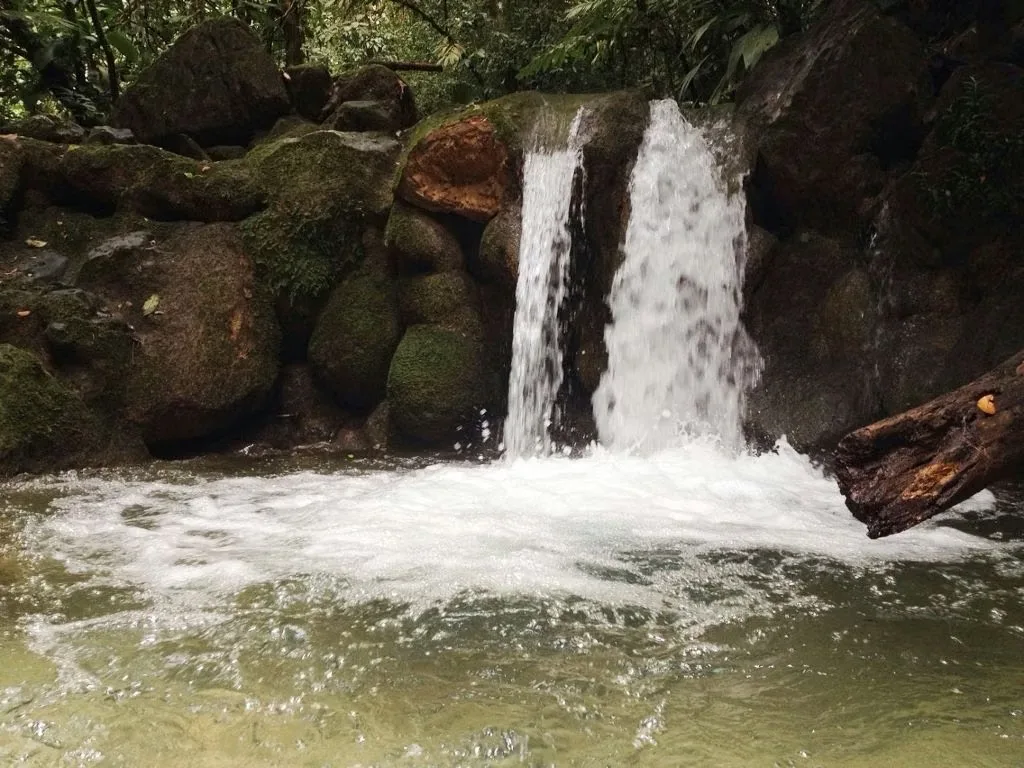 FARM FOR SALE IN LLANO BONITO, RÍO CLARO – 165 HECTARES OF NATURE AND AFRICAN PALM PRODUCTION, photo 14