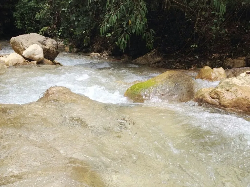 FARM FOR SALE IN LLANO BONITO, RÍO CLARO – 165 HECTARES OF NATURE AND AFRICAN PALM PRODUCTION, photo 15