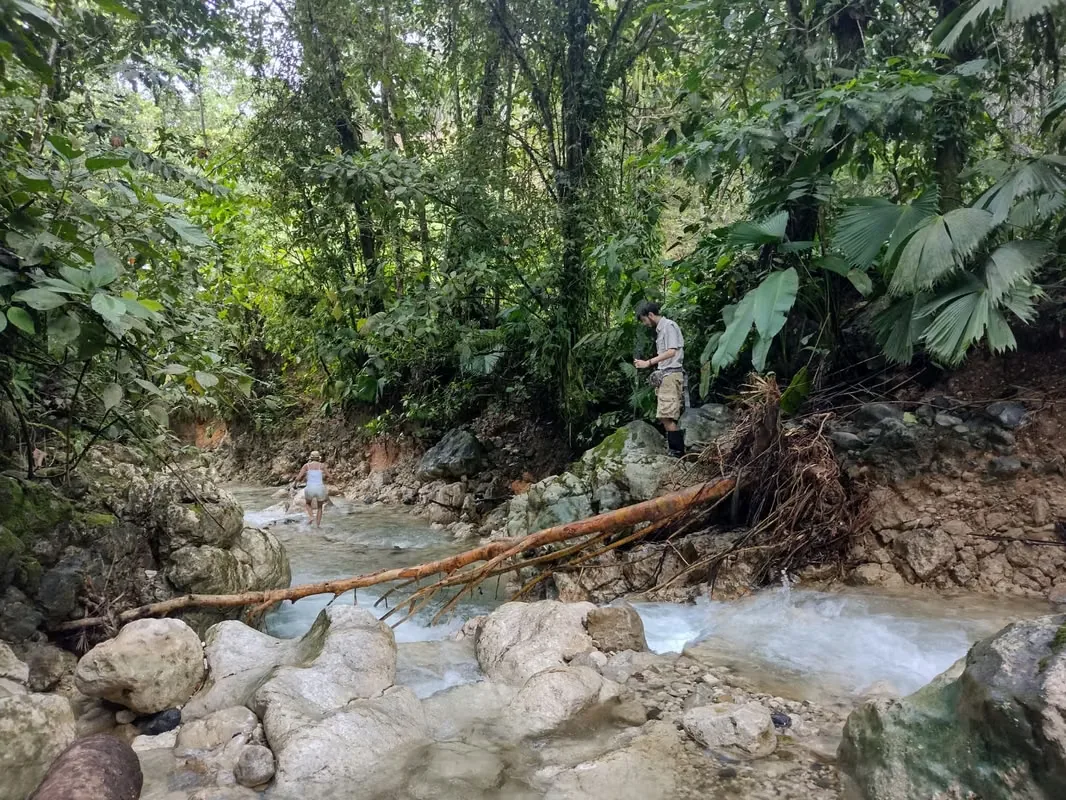 FARM FOR SALE IN LLANO BONITO, RÍO CLARO – 165 HECTARES OF NATURE AND AFRICAN PALM PRODUCTION, photo 4