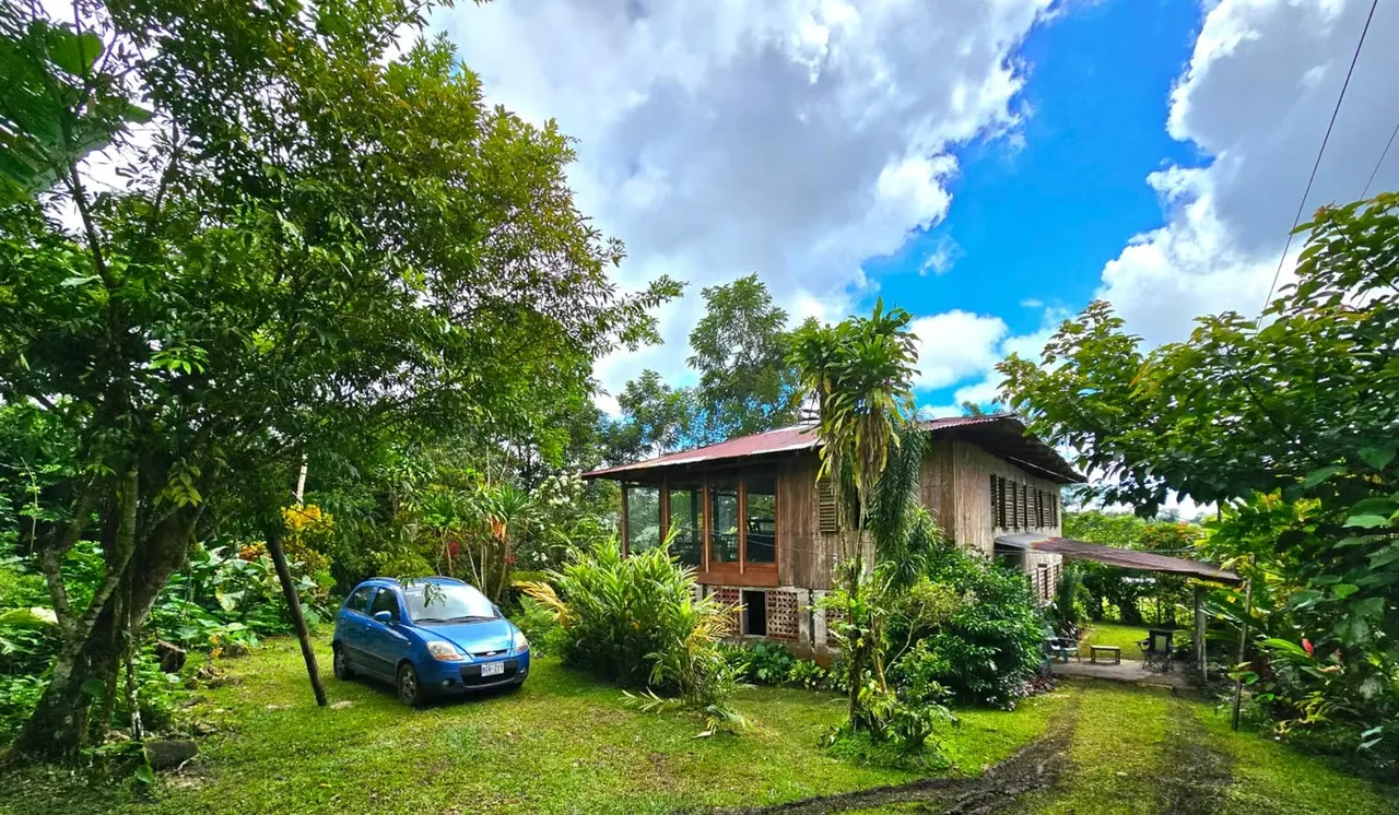 FARM FOR SALE IN LLANO BONITO, RÍO CLARO – 165 HECTARES OF NATURE AND AFRICAN PALM PRODUCTION, photo 5