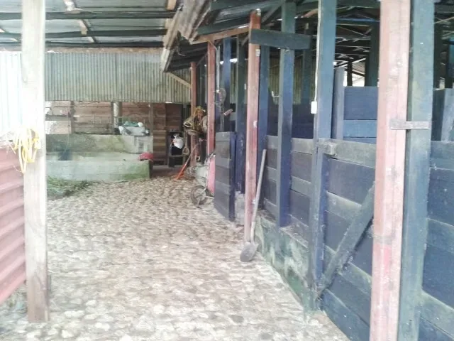 FARM FOR SALE IN LLANO BONITO, RÍO CLARO – 165 HECTARES OF NATURE AND AFRICAN PALM PRODUCTION, photo 10