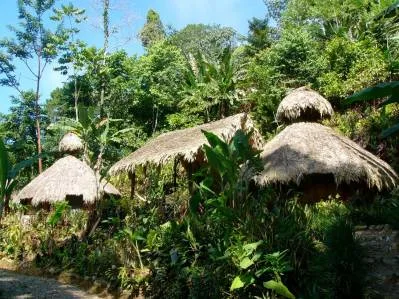 Off The Grid Total 32 Ha Compuesto para su desafío en la jungla