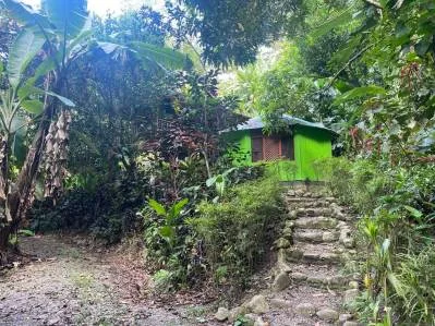 Off The Grid Total 32 Ha Compuesto para su desafío en la jungla, photo 5