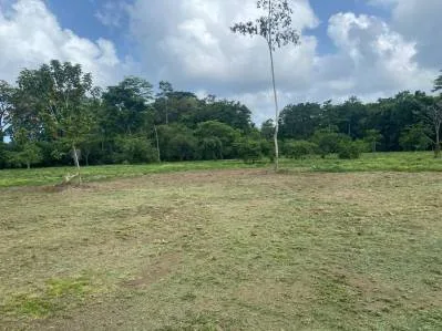 Off The Grid Total 32 Ha Compuesto para su desafío en la jungla, photo 10