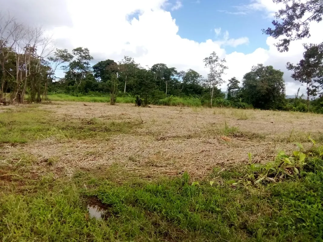 Ofrecemos la oportunidad de 22 lotes a un precio de oportunidad en el hermoso sector de Aguas Claras, después de ..., photo 2