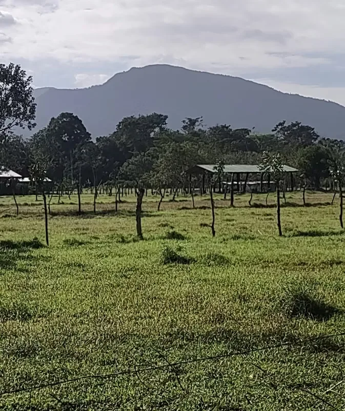Ofrecemos la oportunidad de 22 lotes a un precio de oportunidad en el hermoso sector de Aguas Claras, después de ..., photo 11