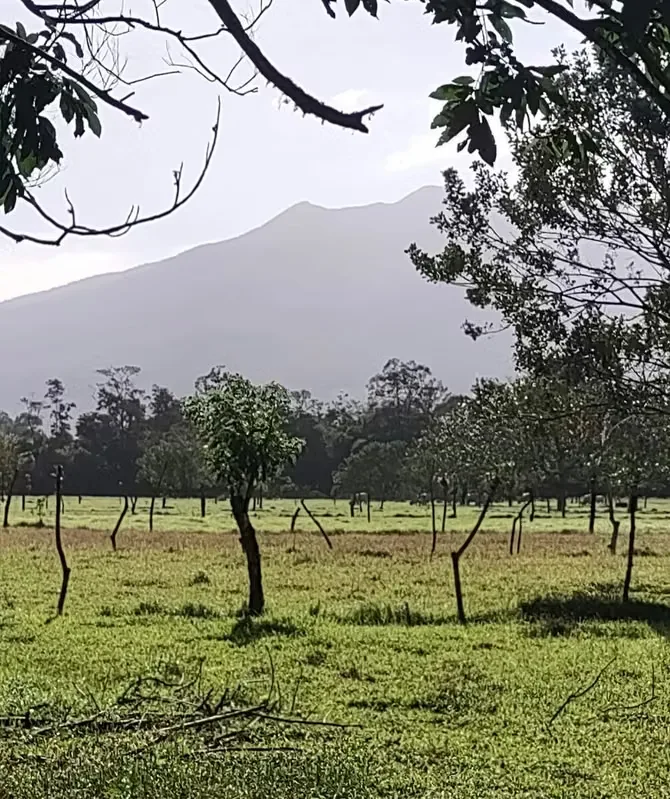 Ofrecemos la oportunidad de 22 lotes a un precio de oportunidad en el hermoso sector de Aguas Claras, después de ..., photo 12