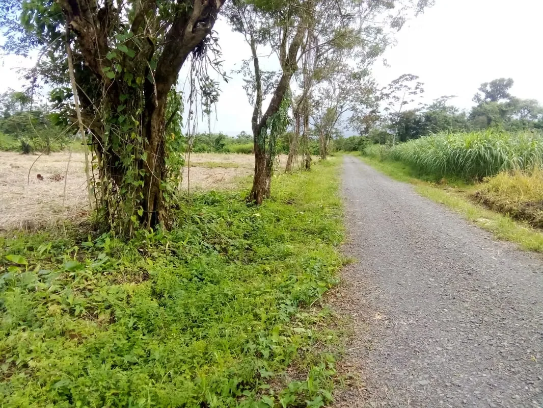 Ofrecemos la oportunidad de 22 lotes a un precio de oportunidad en el hermoso sector de Aguas Claras, después de ..., photo 13