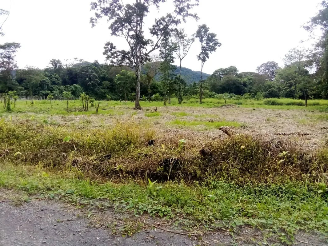 Ofrecemos la oportunidad de 22 lotes a un precio de oportunidad en el hermoso sector de Aguas Claras, después de ..., photo 14
