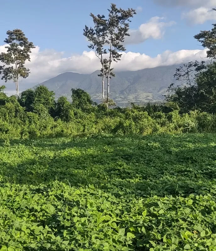 Ofrecemos la oportunidad de 22 lotes a un precio de oportunidad en el hermoso sector de Aguas Claras, después de ..., photo 8