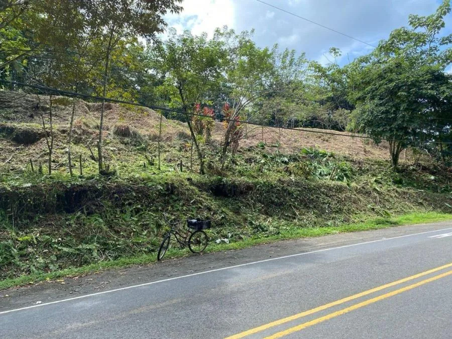 Venta de Lote en Manzanillo Limón 45 ha (mga) - Venta en Talamanca