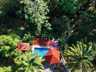 8 cabañas con piscina en una exuberante propiedad selvática en Uvita, photo 3