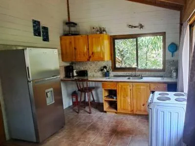 8 cabañas con piscina en una exuberante propiedad selvática en Uvita, photo 5