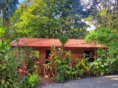 8 cabañas con piscina en una exuberante propiedad selvática en Uvita, photo 9
