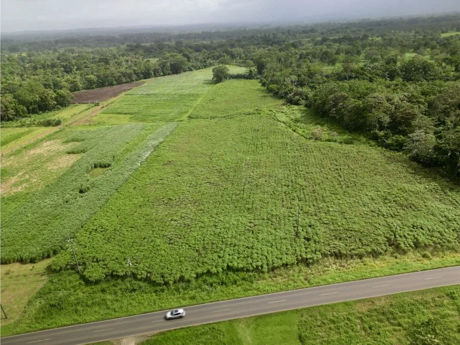 Preciosos Lote de 2000 m2 en Fortuna