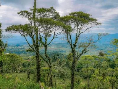 finca venta