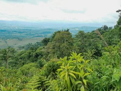 finca venta, photo 2