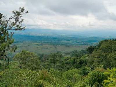 finca venta, photo 3