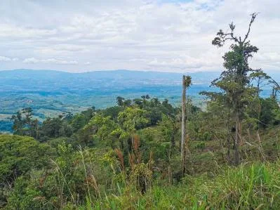 finca venta, photo 4
