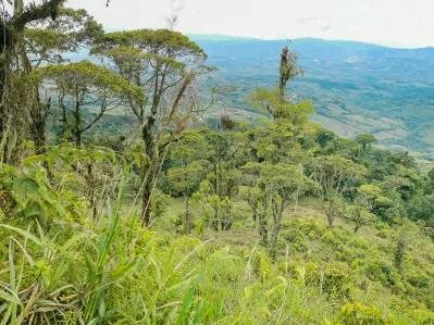 finca venta, photo 5