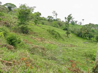 finca venta, photo 6