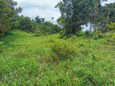 finca venta, photo 8