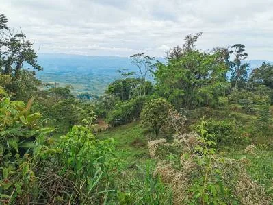 finca venta, photo 9