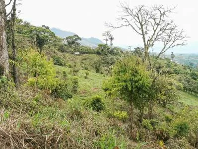 finca venta, photo 10
