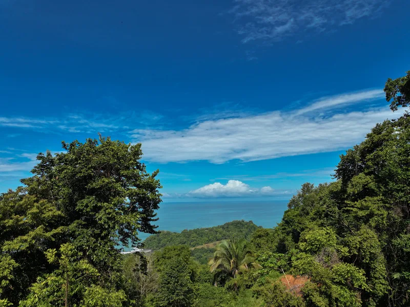 Land For Sale in Uvita, photo 6