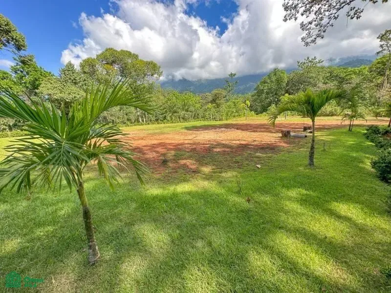 Ojochal, calle del bosque, Puerto Cortés, Puntarenas 60501