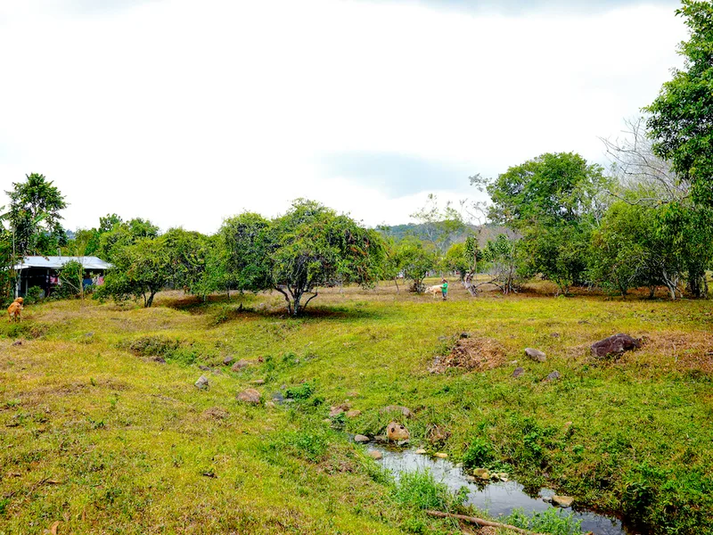 Land For Sale in Perez Zeledon, photo 13