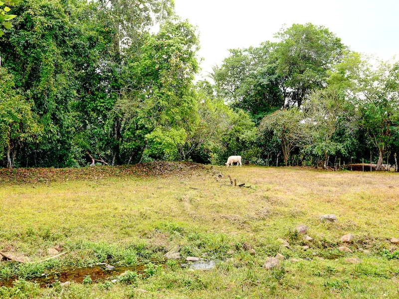 Land For Sale in Perez Zeledon, photo 14