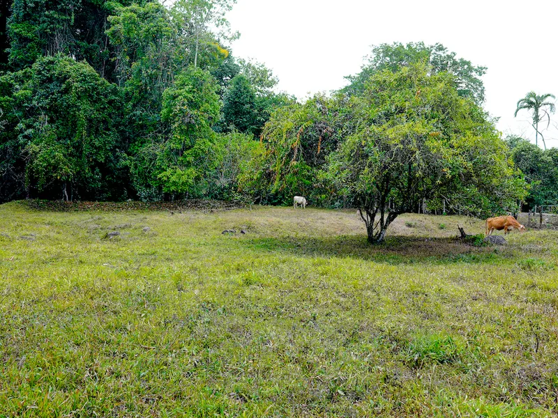 Land For Sale in Perez Zeledon, photo 15