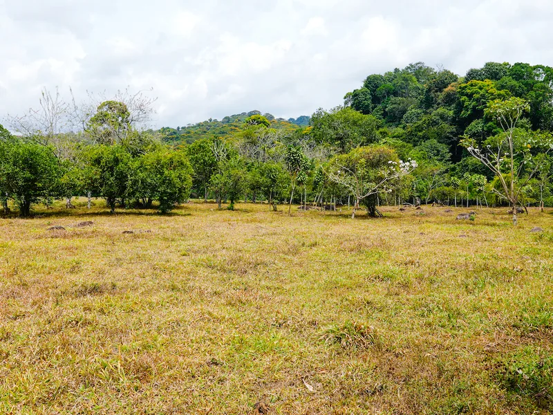 Land For Sale in Perez Zeledon, photo 7