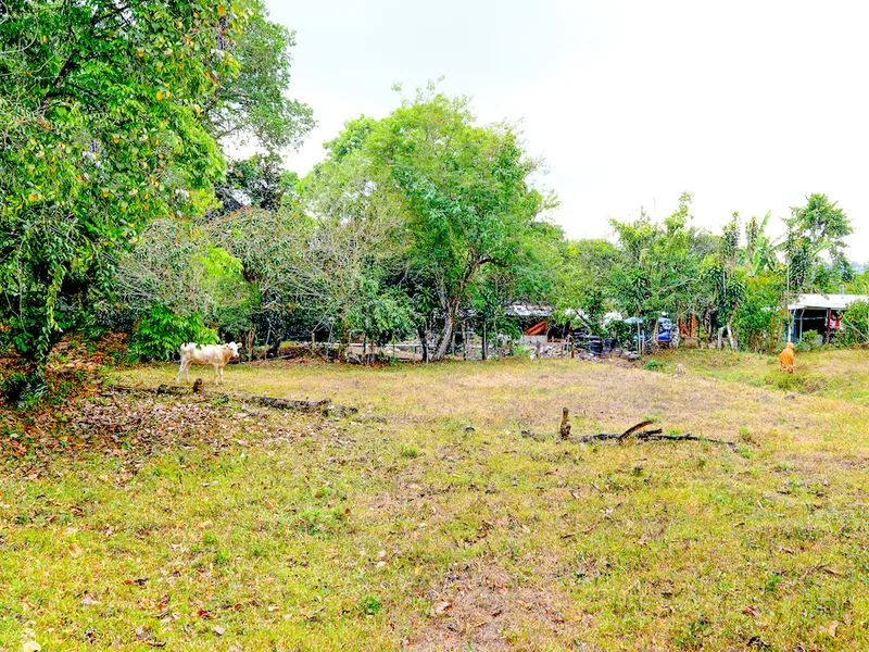 Land For Sale in Perez Zeledon, photo 9