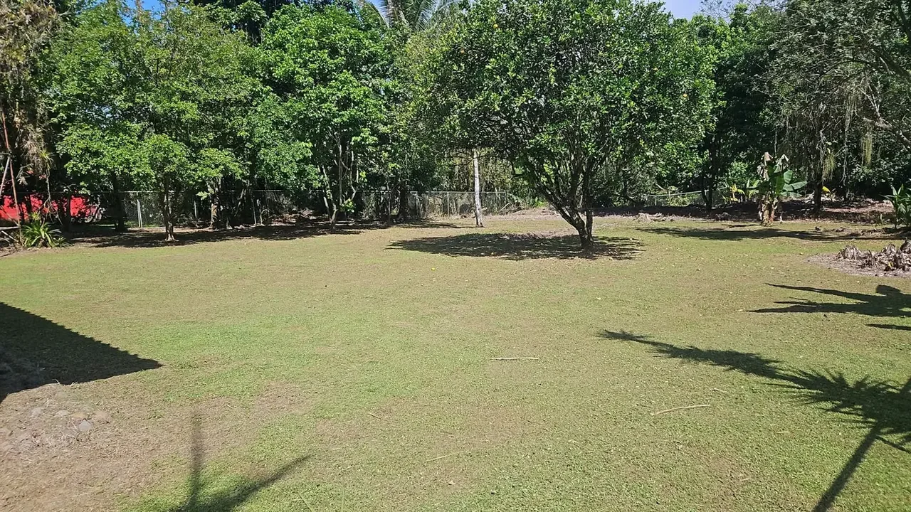Linda propiedad de 2.368 m², completamente plana y rodeada de ..., photo 2