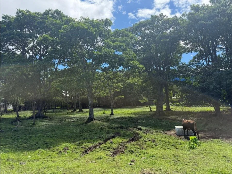 Venta de terreno en San Pedro, Montes de Oca