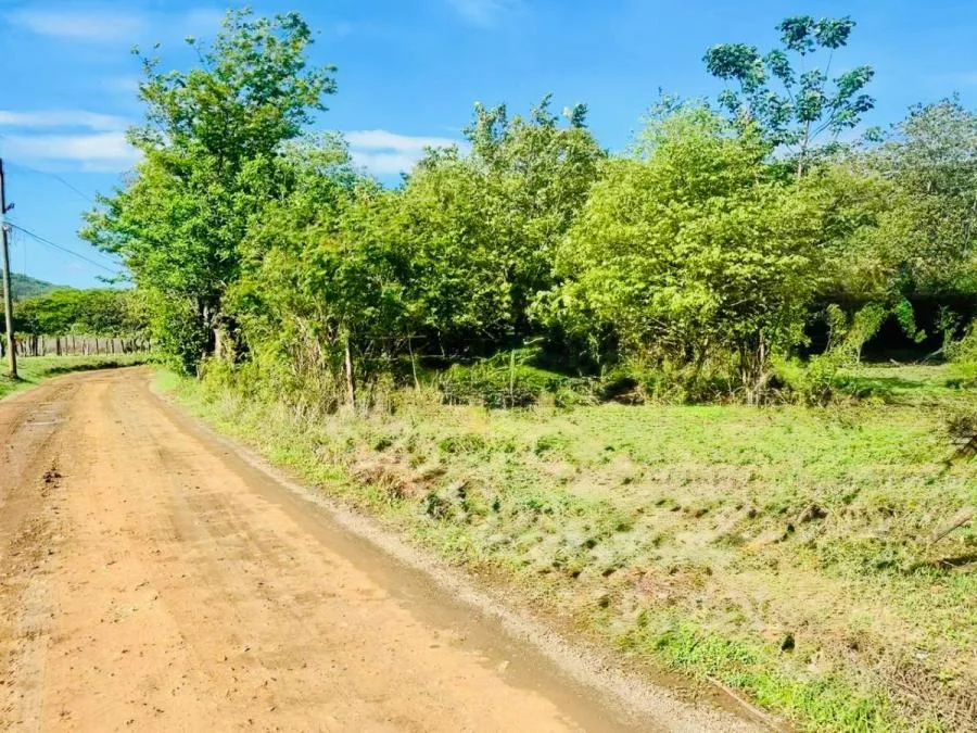 Build Your Dream in La Garita Nueva, Near Tamarindo - Venta en Tamarindo, photo 5